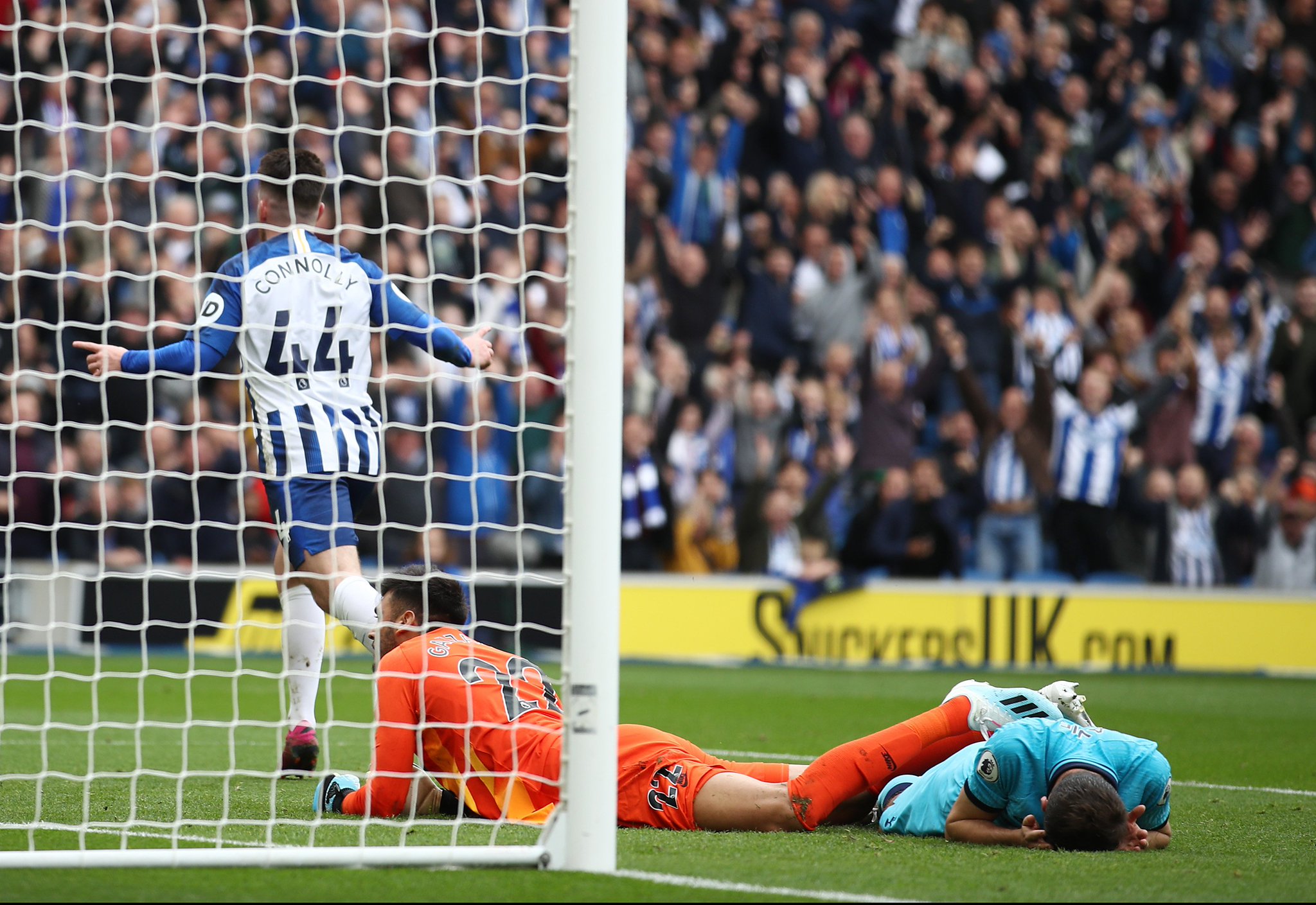 判断向来严 判断向来严