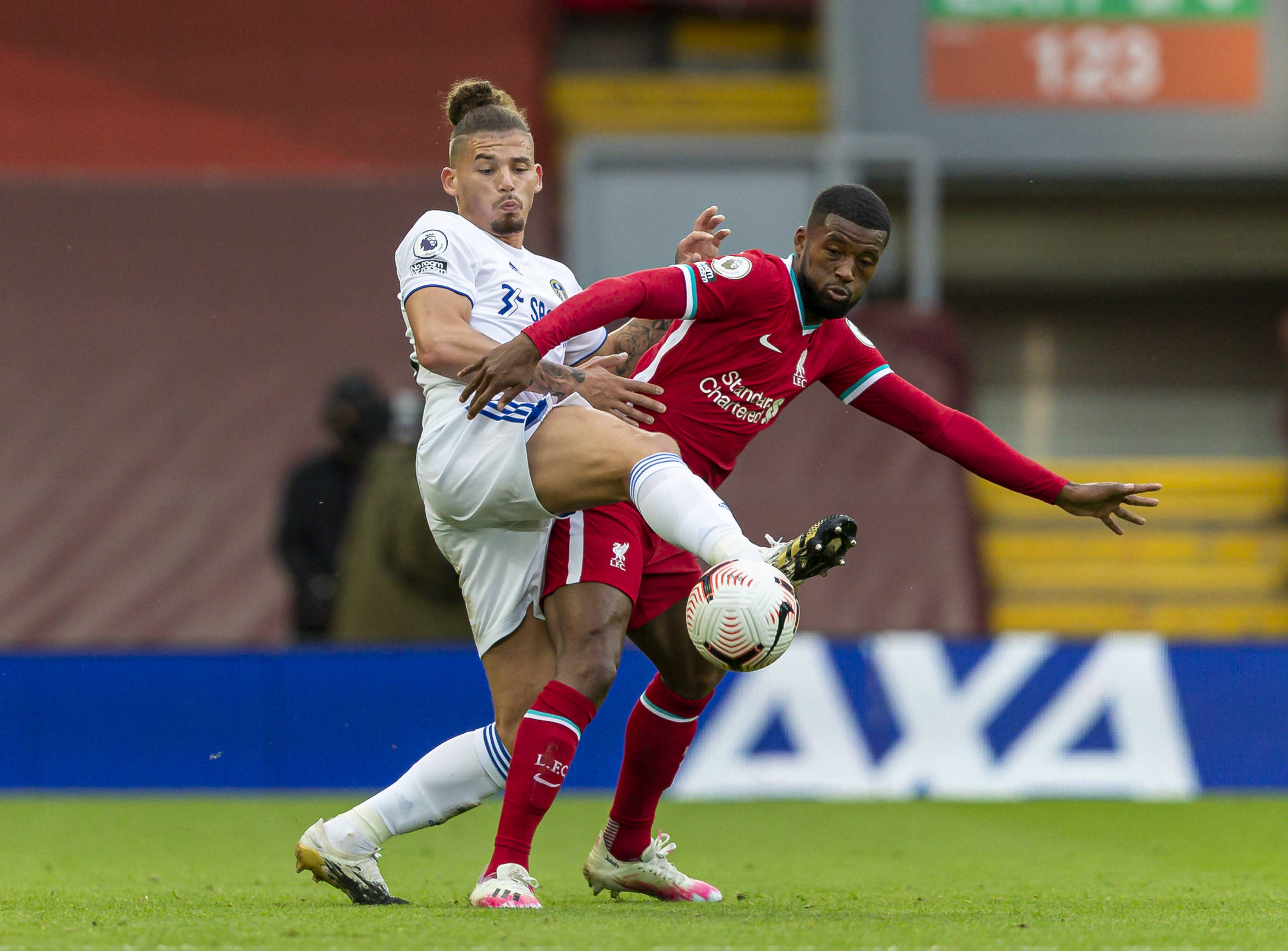 众多体育迷 众多体育迷