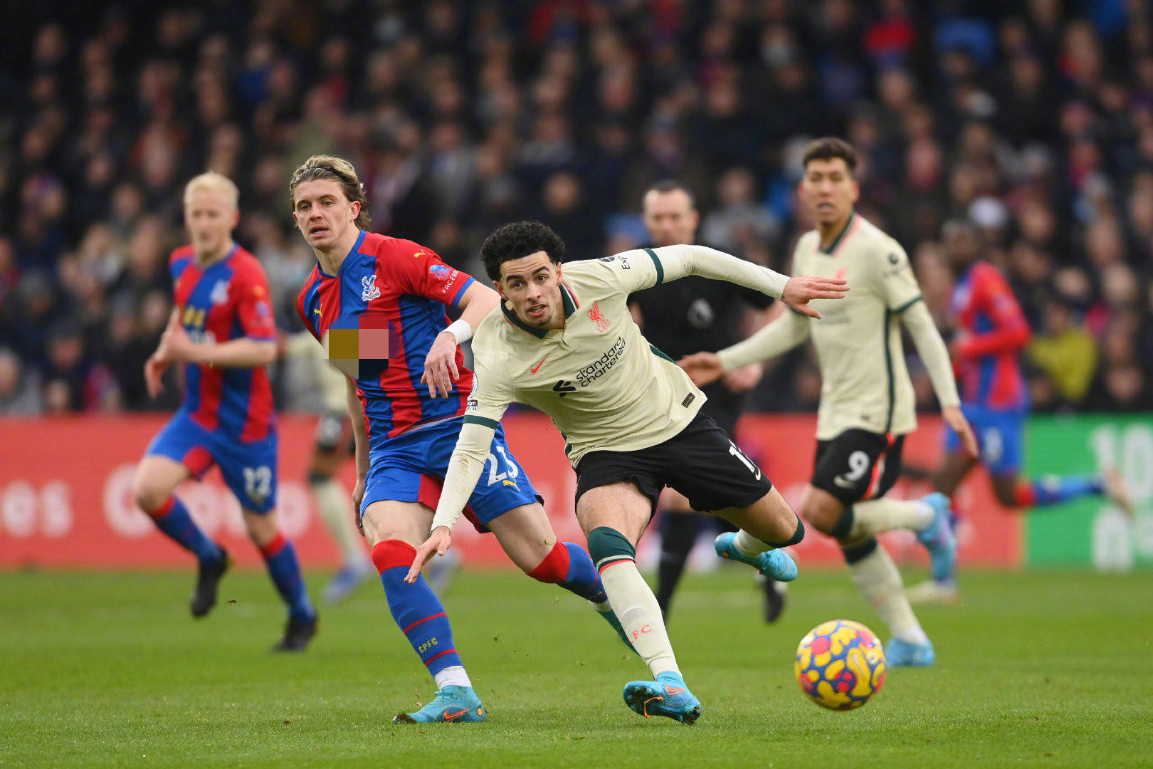 恢复期同样 恢复期同样